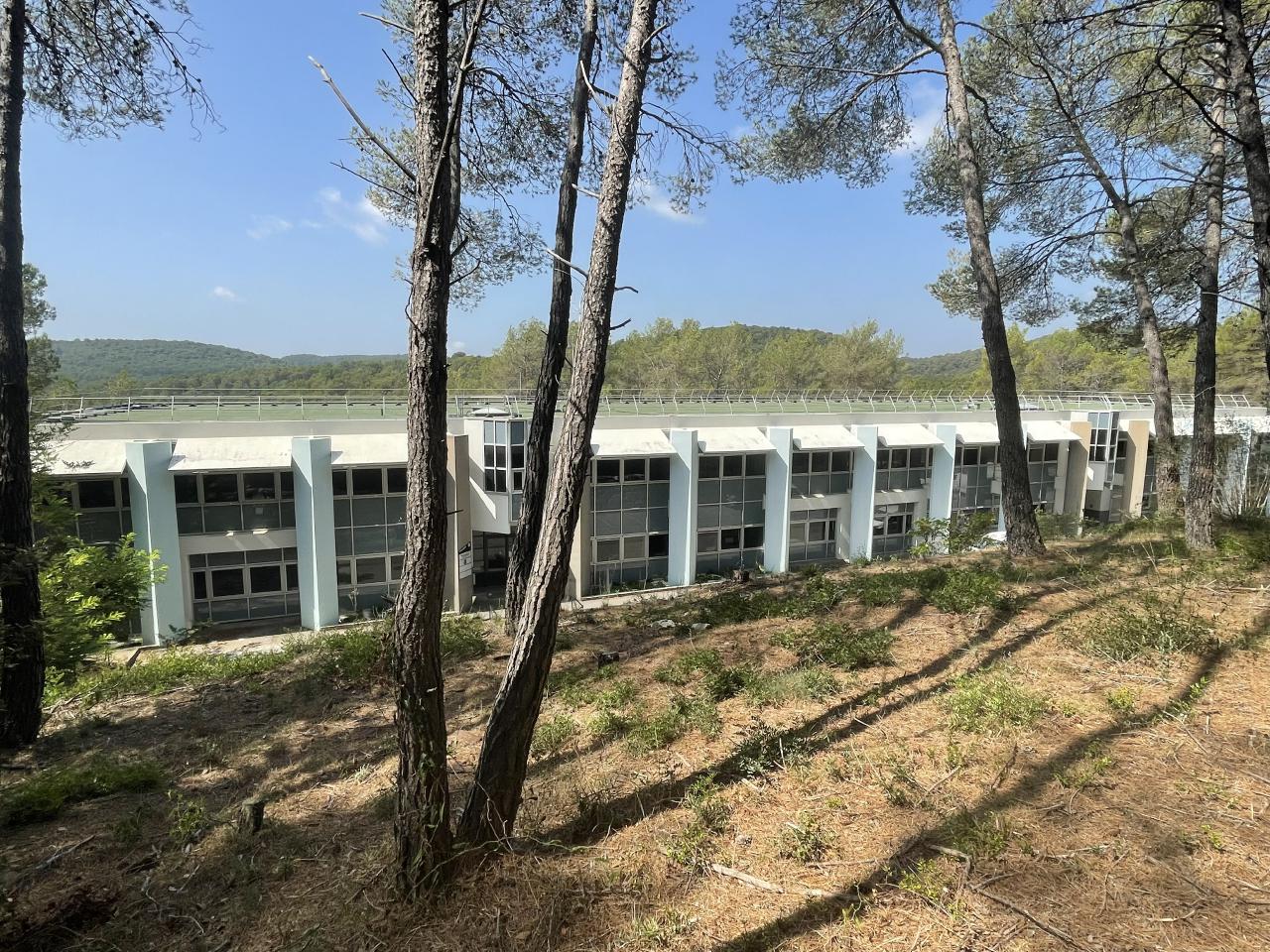 Local d'activité Sophia Antipolis 1329m² Location local d'activité Sophia Antipolis Alpes-Maritimes OLACT2317493 6